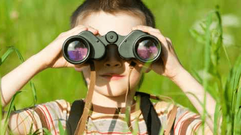 Child looking through binoculars in a field