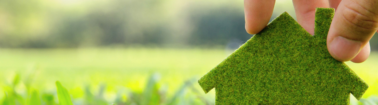 Little house made out of greenery 