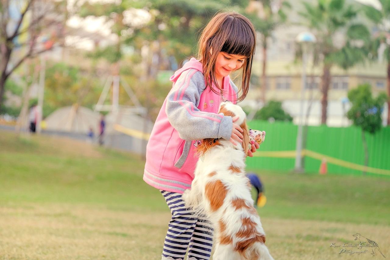 ensine seus filhos a amar os animais