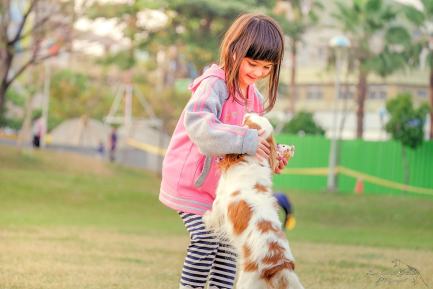 ensine seus filhos a amar os animais