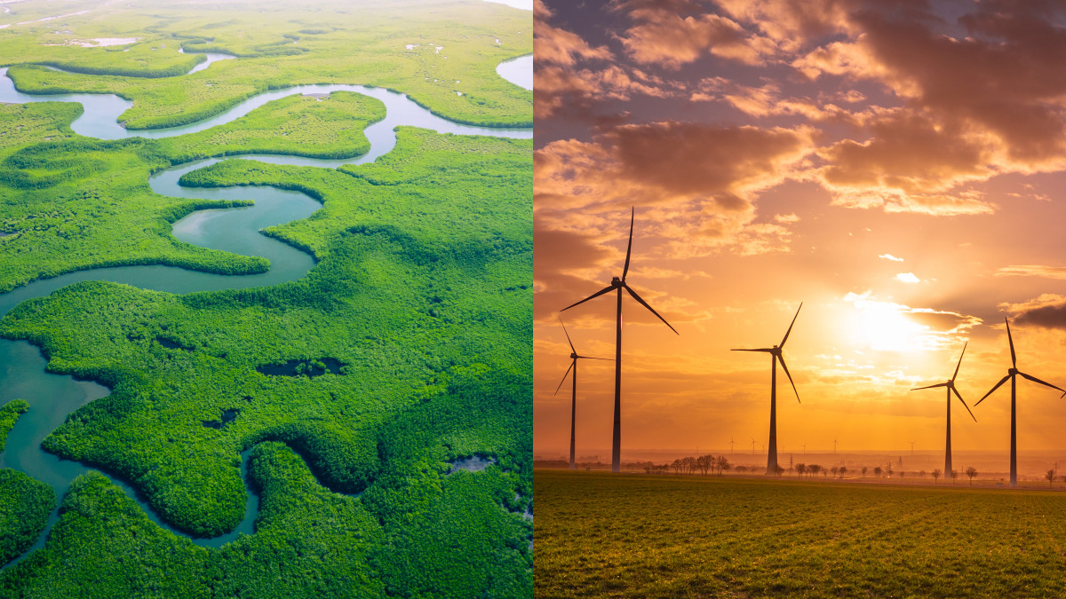 A side by side of a wetland next to wind turbines