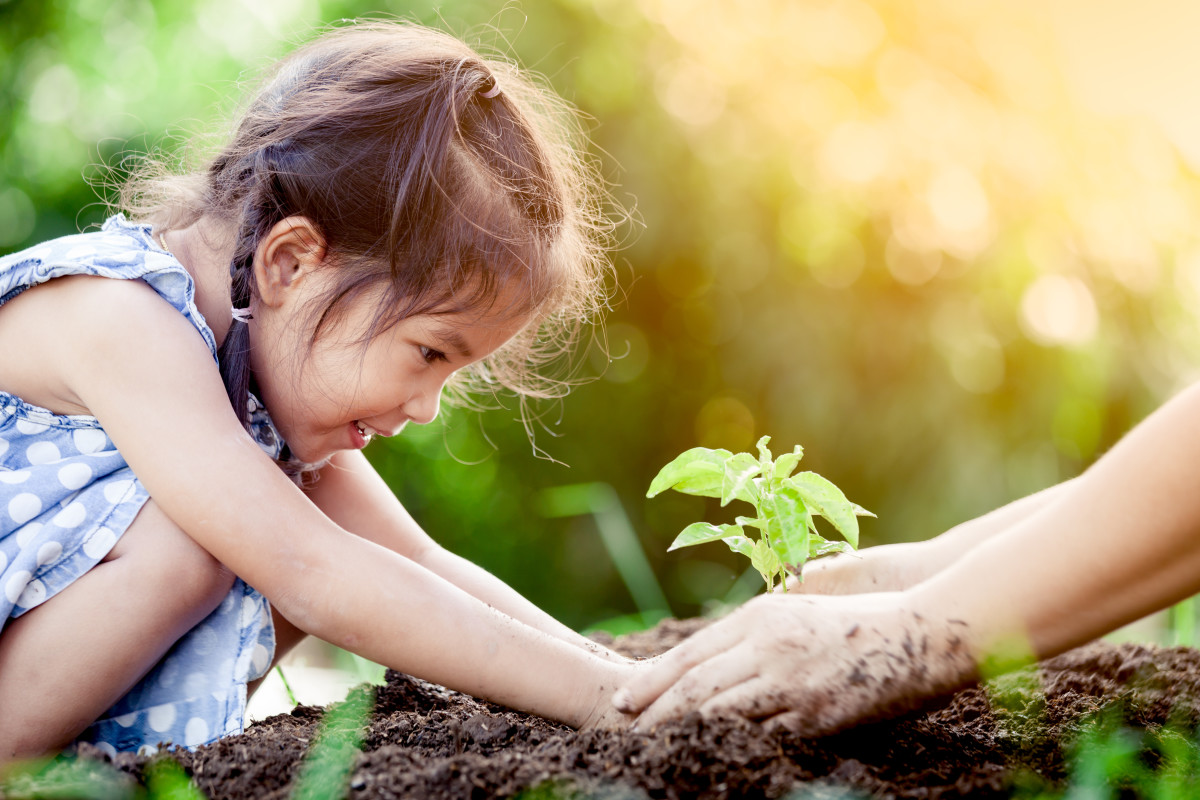 Little girl planting a plant