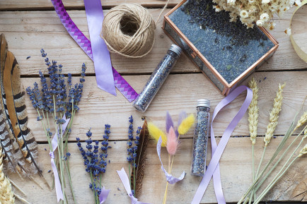 Teaser image for DiG showing different types of feathers for crafts over a wooden table.