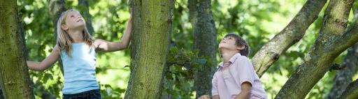 A boy and a girl climbing trees.