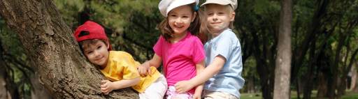 Happy children sitting on a tree branch.