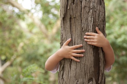 Criança abraçando a árvore