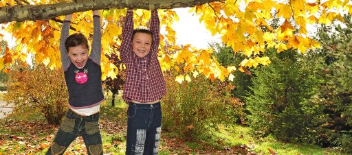 Excited children hanging from a tree branch.