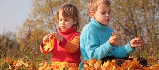 Children playing in the leaves