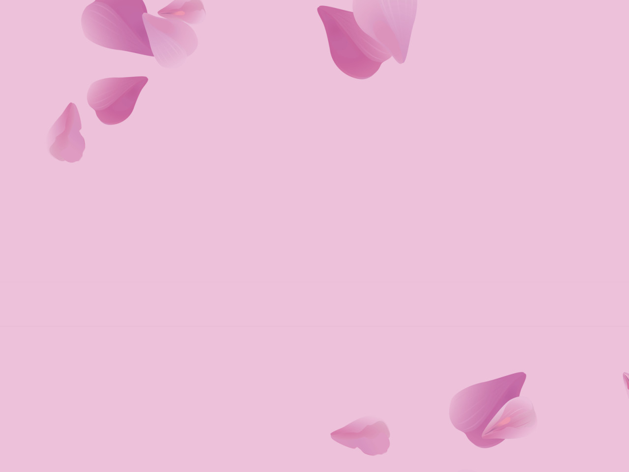 Fundo rosa com flores