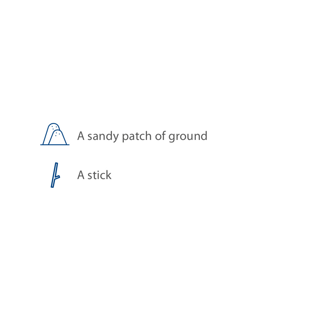 An image of a sandy patch of ground and a stick

