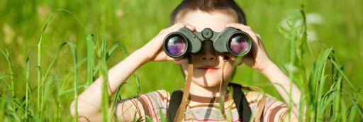 Child looking through binoculars in a field